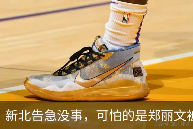 新北告急没事，可怕的是郑丽文被内鬼逼到赌最后一把：输了或退位