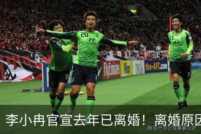 李小冉官宣去年已离婚！离婚原因有财务风险说和丁克说，前夫被执行2111万